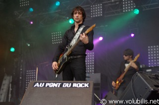 Daniel Darc - Festival Au Pont du Rock 2008