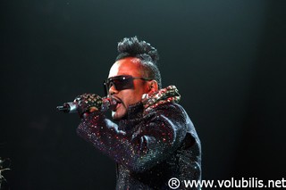 The Black Eyed Peas - Concert Bercy (Paris)