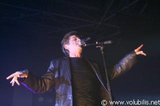 Hubert Felix Thiefaine - Concert Le Zenith (Paris)