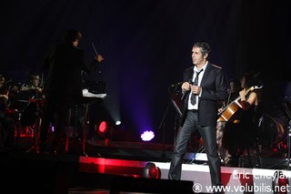 Julien Clerc - Concert Le Palais des Sports (Paris)