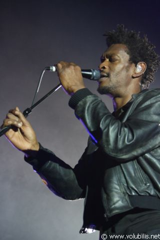 Massive Attack - Concert Le Zenith (Paris)