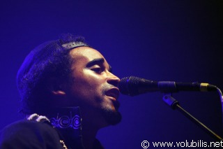 Patrice - Concert Le Zenith (Paris)