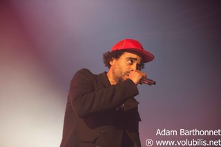 Patrice - Concert Le Zenith (Paris)