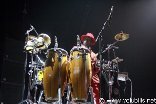 Seeed - Concert Bercy (Paris)