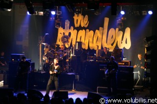 The Stranglers - Concert La Cité (Rennes)