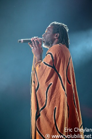 Tiken Jah Fakoly - Concert Bercy (Paris)