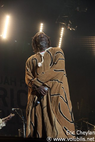 Tiken Jah Fakoly - Concert Bercy (Paris)