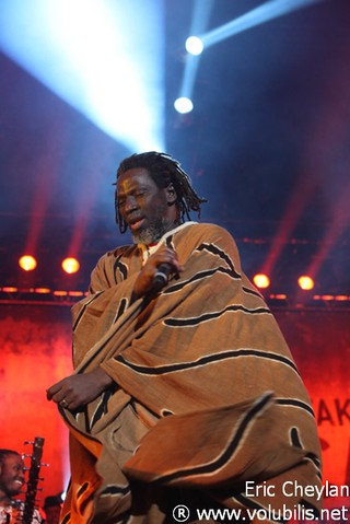 Tiken Jah Fakoly - Concert Bercy (Paris)