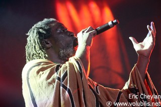 Tiken Jah Fakoly - Concert Bercy (Paris)