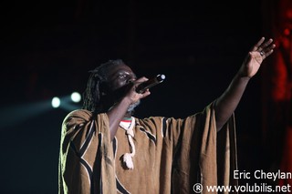 Tiken Jah Fakoly - Concert Bercy (Paris)