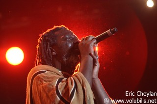 Tiken Jah Fakoly - Concert Bercy (Paris)