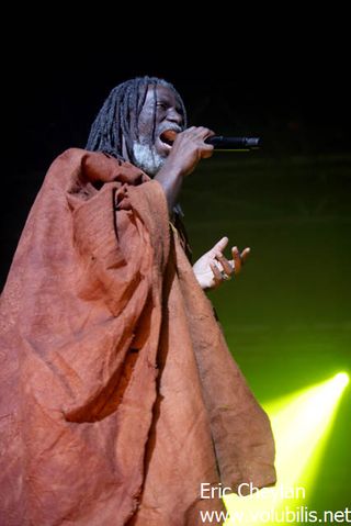 Tiken Jah Fakoly - Concert Le Zenith (Paris)