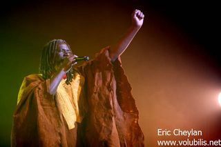 Tiken Jah Fakoly - Concert Le Zenith (Paris)