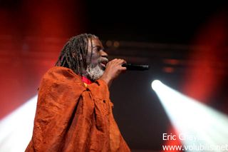 Tiken Jah Fakoly - Concert Le Zenith (Paris)