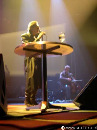 Alain Bashung - Le Festival des Artefacts 2004