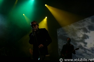 Alain Bashung - Festival Art Rock 2004