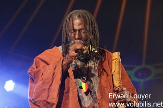 Tiken Jah Fakoly - Festival Arts Sonnés 2016