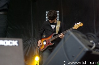 Daniel Darc - Festival Au Pont du Rock 2008