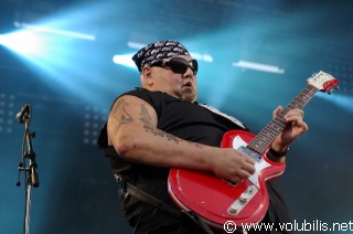 Popa Chubby - Festival Au Pont du Rock 2008