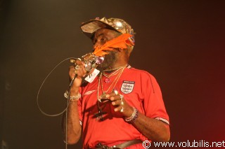 Lee Perry - Festival Les Fennecs 2004