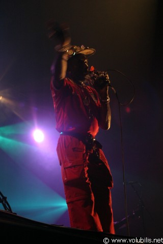 Lee Perry - Festival Les Fennecs 2004