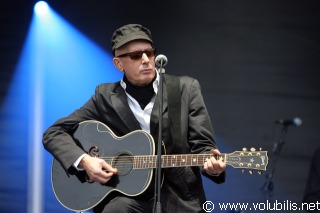 Alain Bashung - Festival Fete de l' Huma 2008