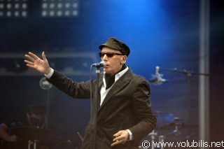 Alain Bashung - Festival Fete de l' Huma 2008