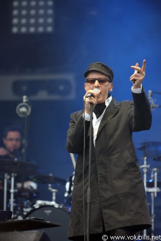 Alain Bashung - Festival Fete de l' Huma 2008