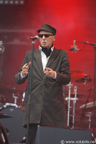 Alain Bashung - Festival Fete de l' Huma 2008