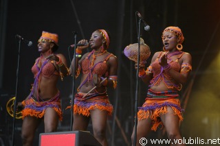 Femi Kuti - Festival Fete de l' Huma 2008