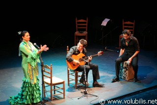 Noche de Flamenco - Festival Les Internationales de la Guitare 2006