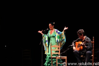 Noche de Flamenco - Festival Les Internationales de la Guitare 2006