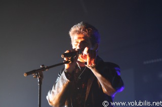 Hubert Felix Thiefaine - Festival Les Internationales de la Guitare 2006