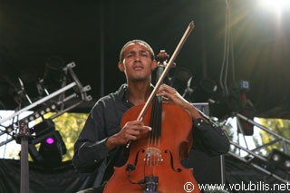 Emily Loizeau - Festival Les Vaches Au Gallo 2007