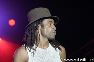 Yannick Noah - Festival La Nuit de L' Erdre 2004