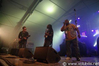 Improvisators Dub - Festival Rock N Solex 2009