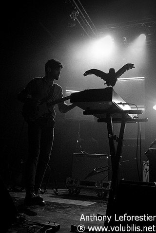 Guards - Festival La Route du Rock  Hiver 2011