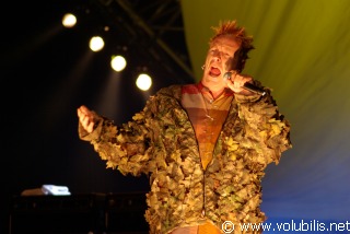 Sex Pistols - Festival Les Terre Neuvas 2008