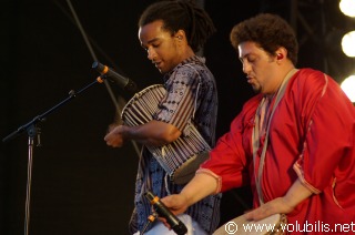 Dub Incorporation - Festival Les Terre Neuvas 2008