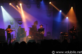 Rodolphe Burger - Festival Les Transmusicales 2004