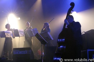 Lars Honrtveth - Festival Les Transmusicales 2004