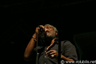 Horace Andy - Festival Les Vieilles Charrues 2004