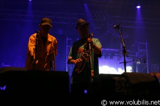 Horace Andy - Festival Les Vieilles Charrues 2004