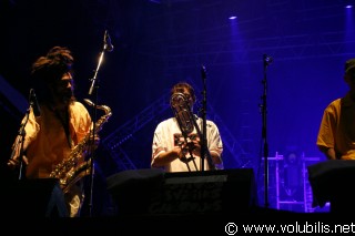 Horace Andy - Festival Les Vieilles Charrues 2004