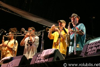 Horace Andy - Festival Les Vieilles Charrues 2004