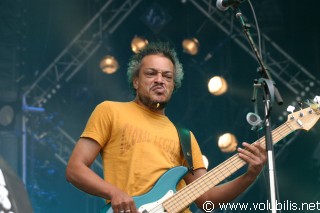 Ilene Barnes - Festival Les Vieilles Charrues 2004