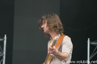 Thomas Fersen - Festival Les Vieilles Charrues 2004