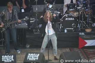 Patti Smith - Festival Les Vieilles Charrues 2004