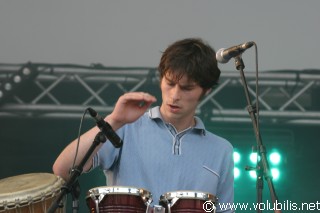 The Coral - Festival Les Vieilles Charrues 2004