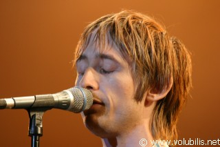 The Divine Comedy - Festival Les Vieilles Charrues 2004